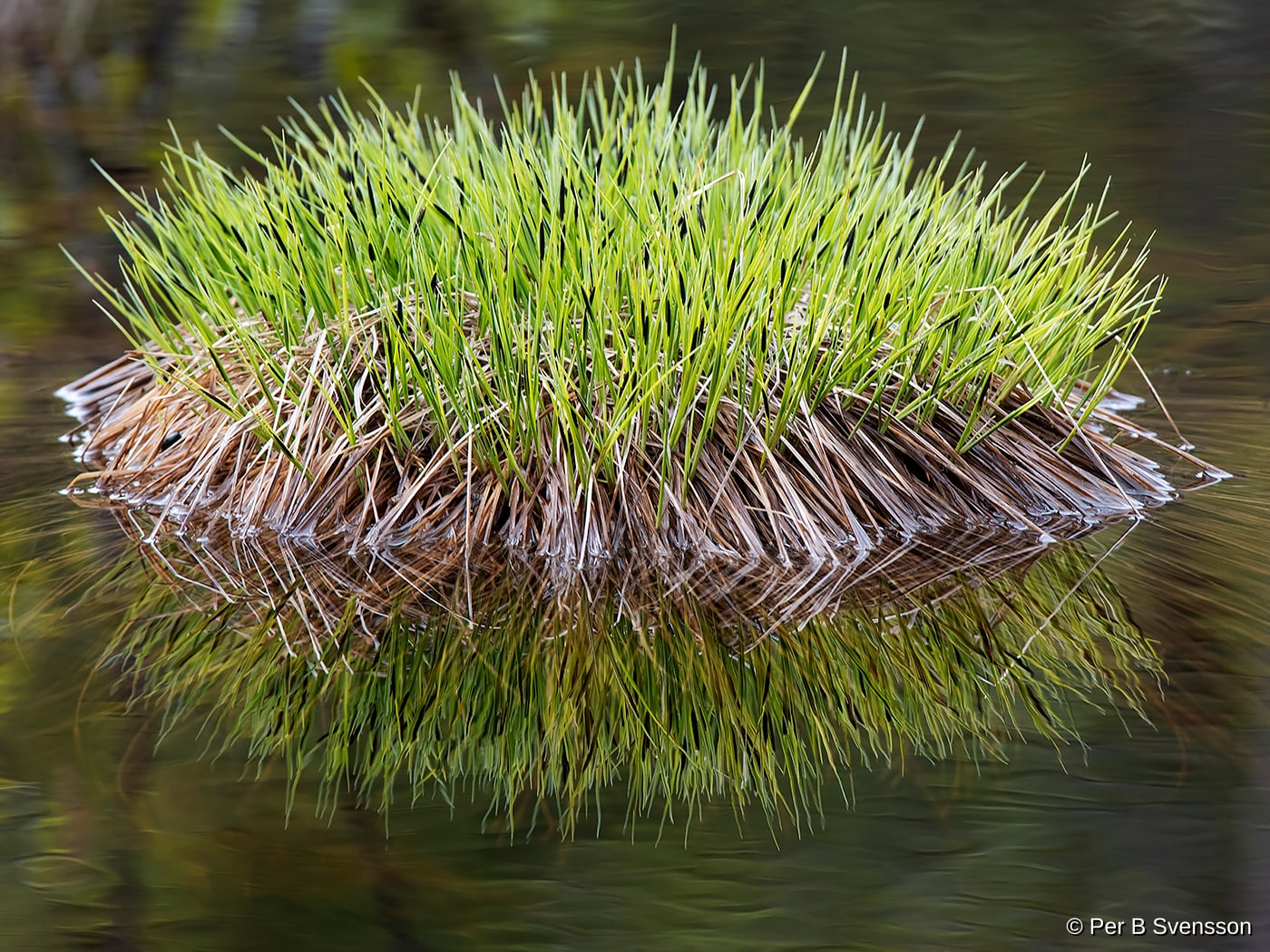 Natur