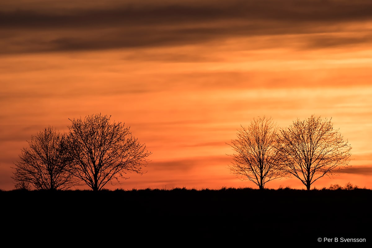 Solnedgang