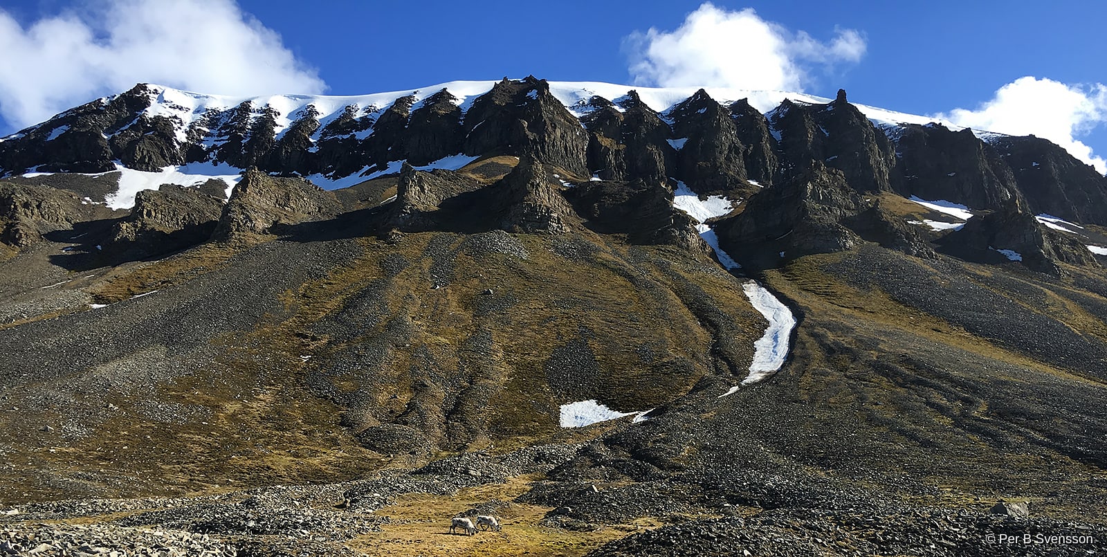 Svalbard