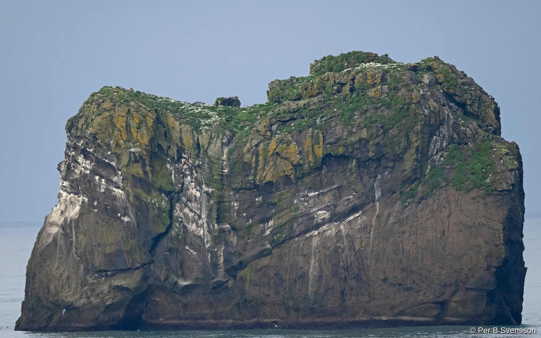 Fuglefjeld