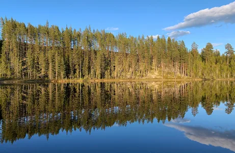 Landskab