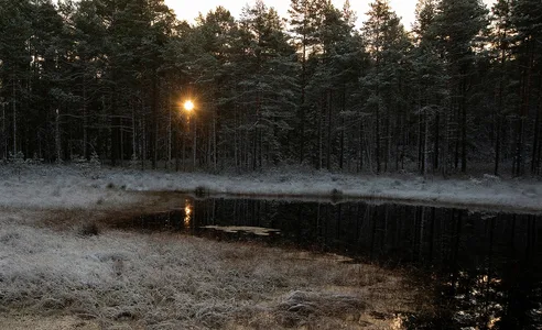 Vintermorgen i Småland