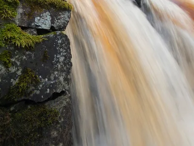 Natur